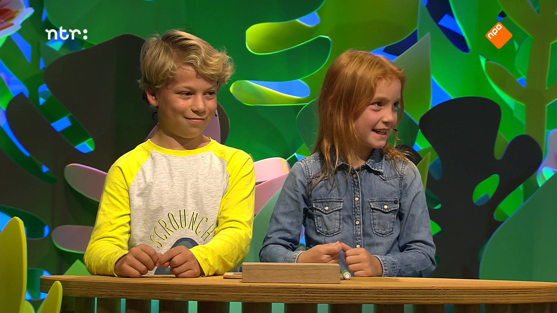 Hoe doen ze het?