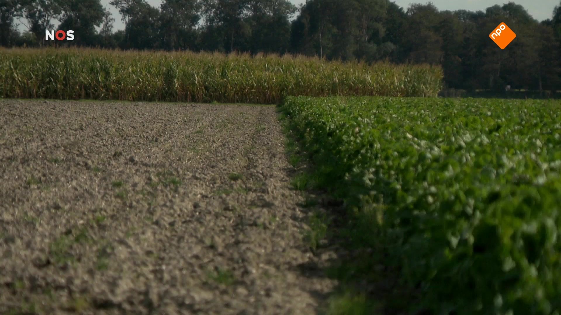 Het NOS Jeugdjournaal | NOS Jeugdjournaal