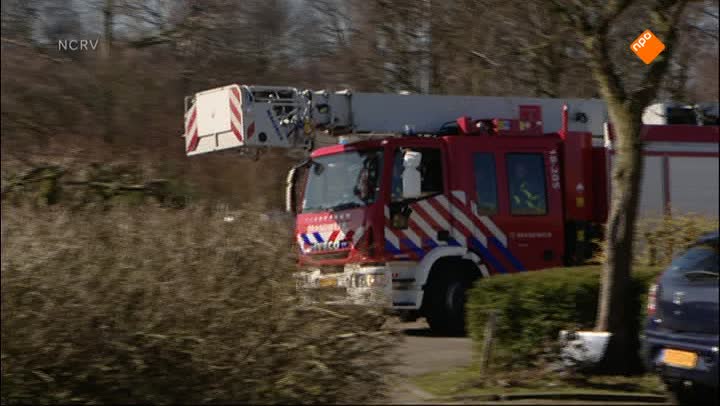 Willem Wever
