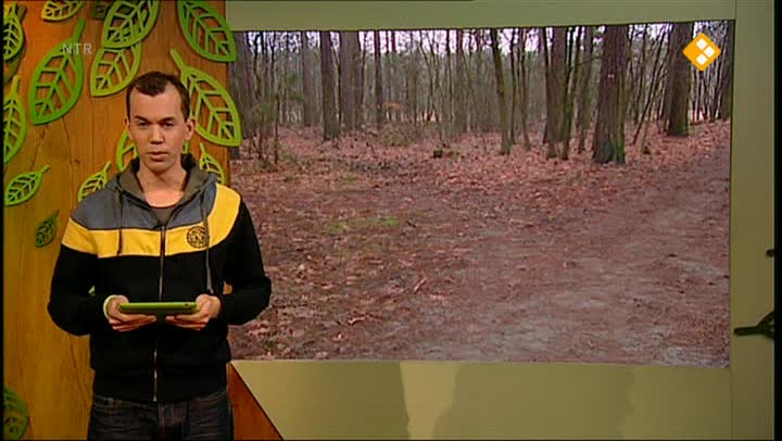 De Buitendienst  | Sledehonden