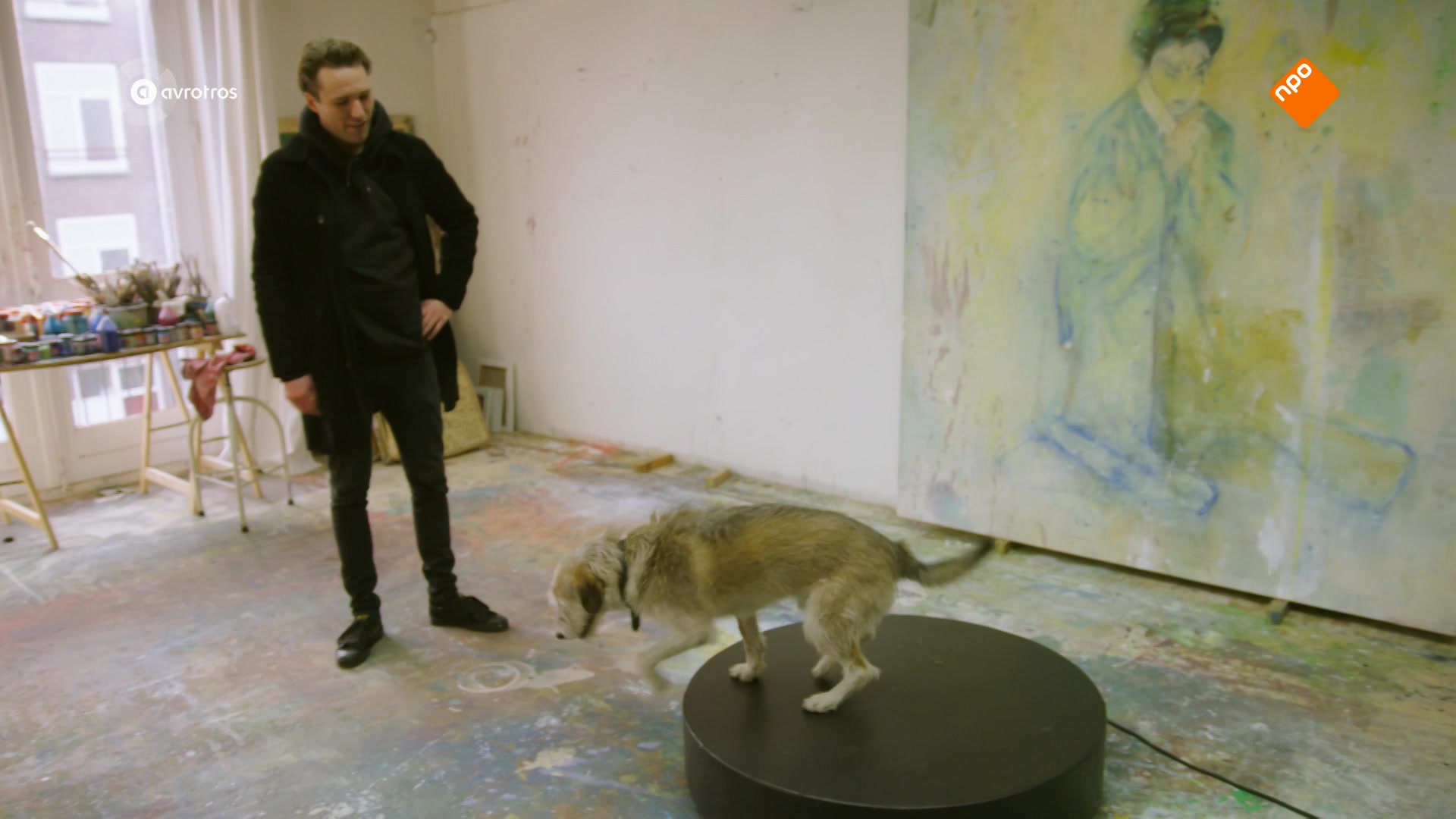 De Blauwe Hond | Hond