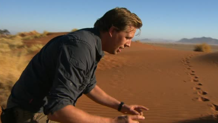 Freeks Wilde Wereld | Sossusvlei