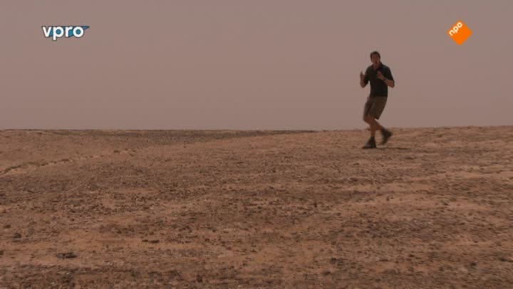 Freeks Wilde Wereld | Jordanië - Wilde ezels