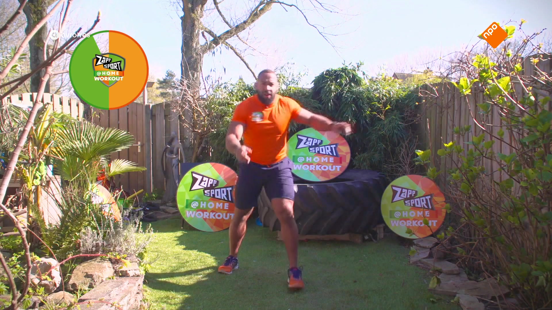 Zappsport@HOME - Workout