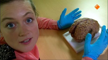 Het Klokhuis | ADHD