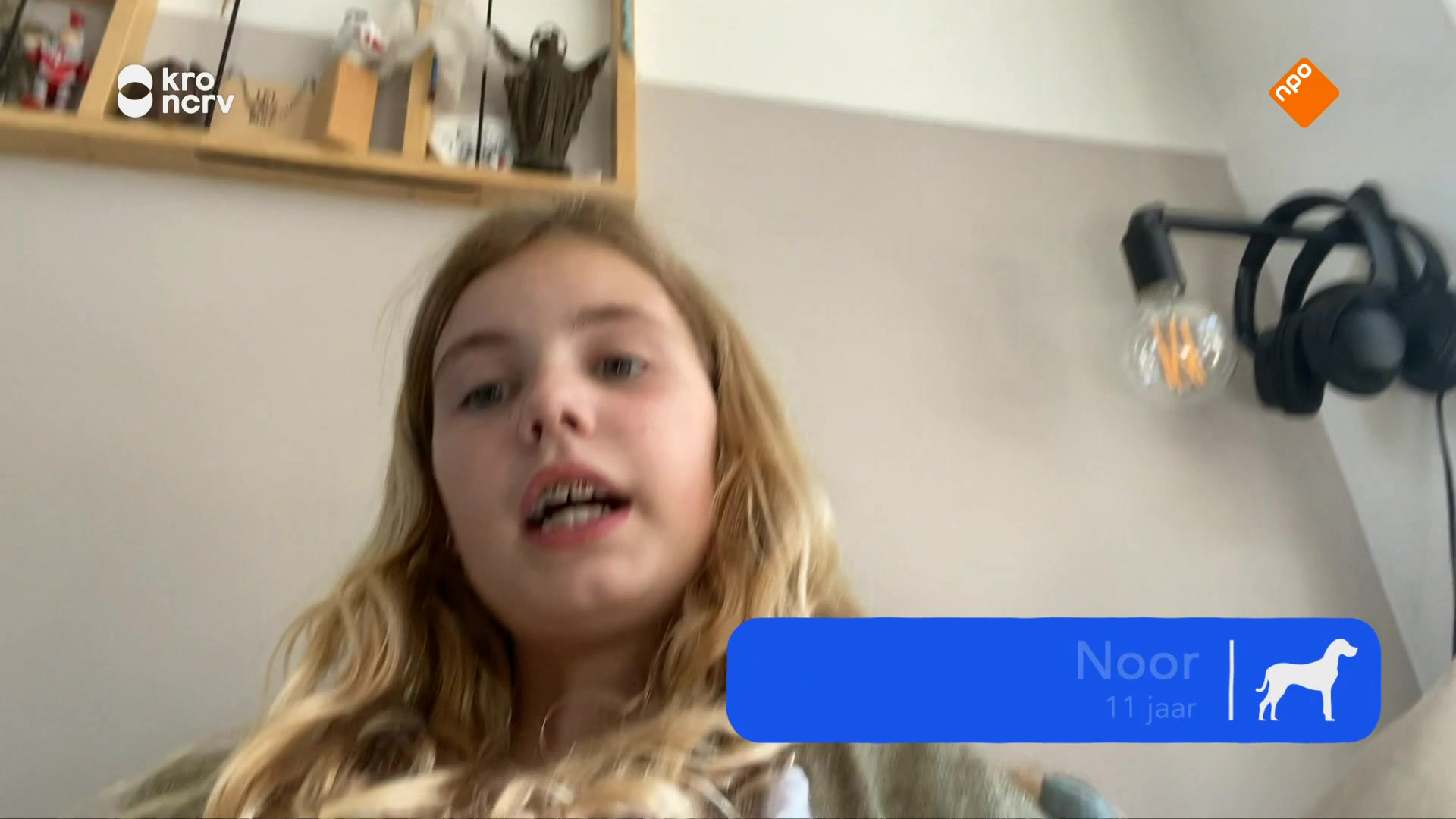 Nieuwe Baasjes | Nieuwe baasjes