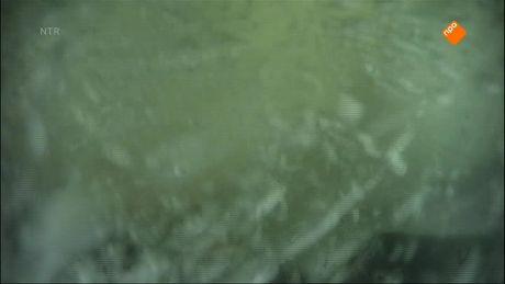 Het Klokhuis | Auto te water