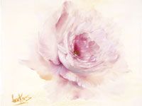 24. Romantische soft focus theeroos