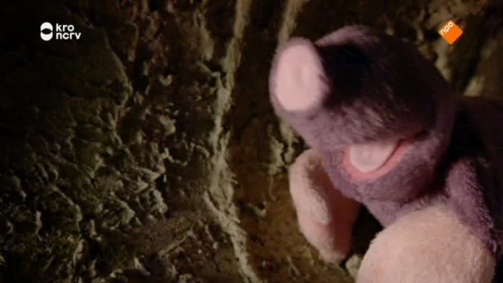 Woezel & Pip Overal Vriendjes!