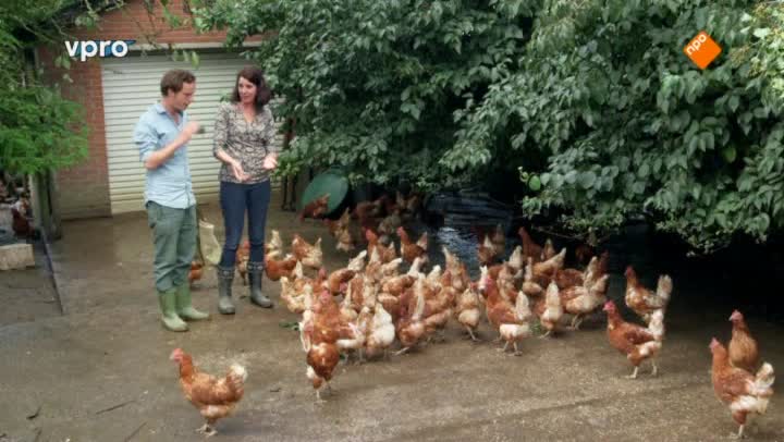 De proefkeuken | Kaas