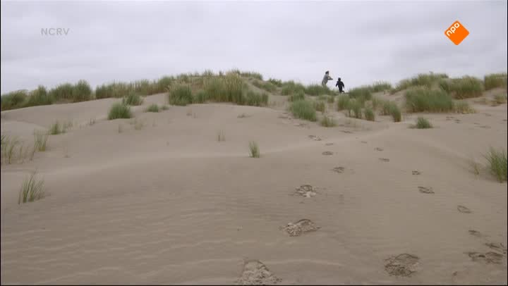 Het verborgen eiland