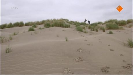 Het verborgen eiland