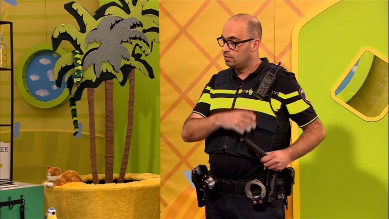 Zin in Zappelin