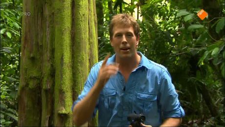 Freek in het wild | Op zoek naar de zweepspin