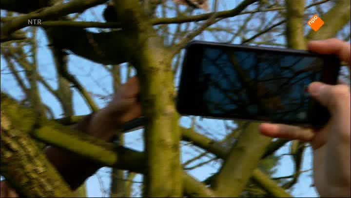 De Buitendienst  | Hoe maak je natuurfilms?