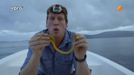 Freeks Wilde Wereld | Zwemmen met een zeeslang