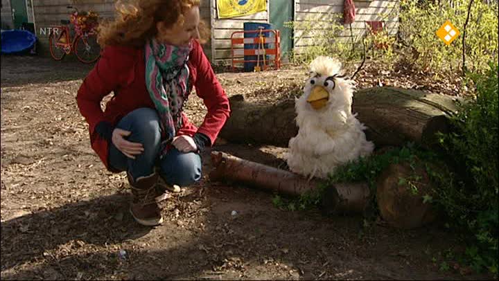Huisje Boompje Beestje