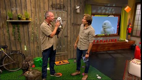 Zapplive | ZappLive