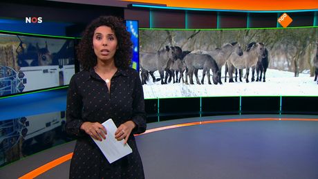 Het NOS Jeugdjournaal | NOS Jeugdjournaal