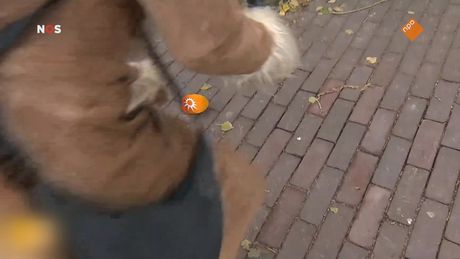 Het NOS Jeugdjournaal | NOS Jeugdjournaal