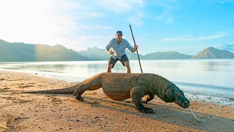 Freeks Wilde Wereld | De koning van Komodo