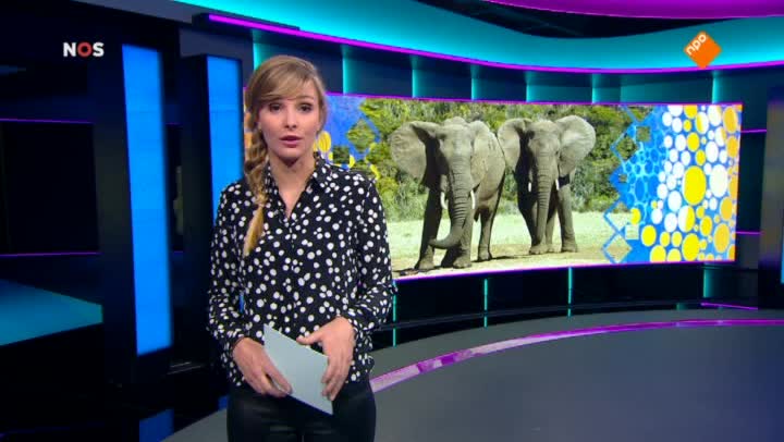 Het NOS Jeugdjournaal | NOS Jeugdjournaal