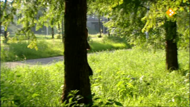 SpangaS: De Campus | SpangaS