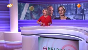Populair padel zorgt over geluidsoverlast