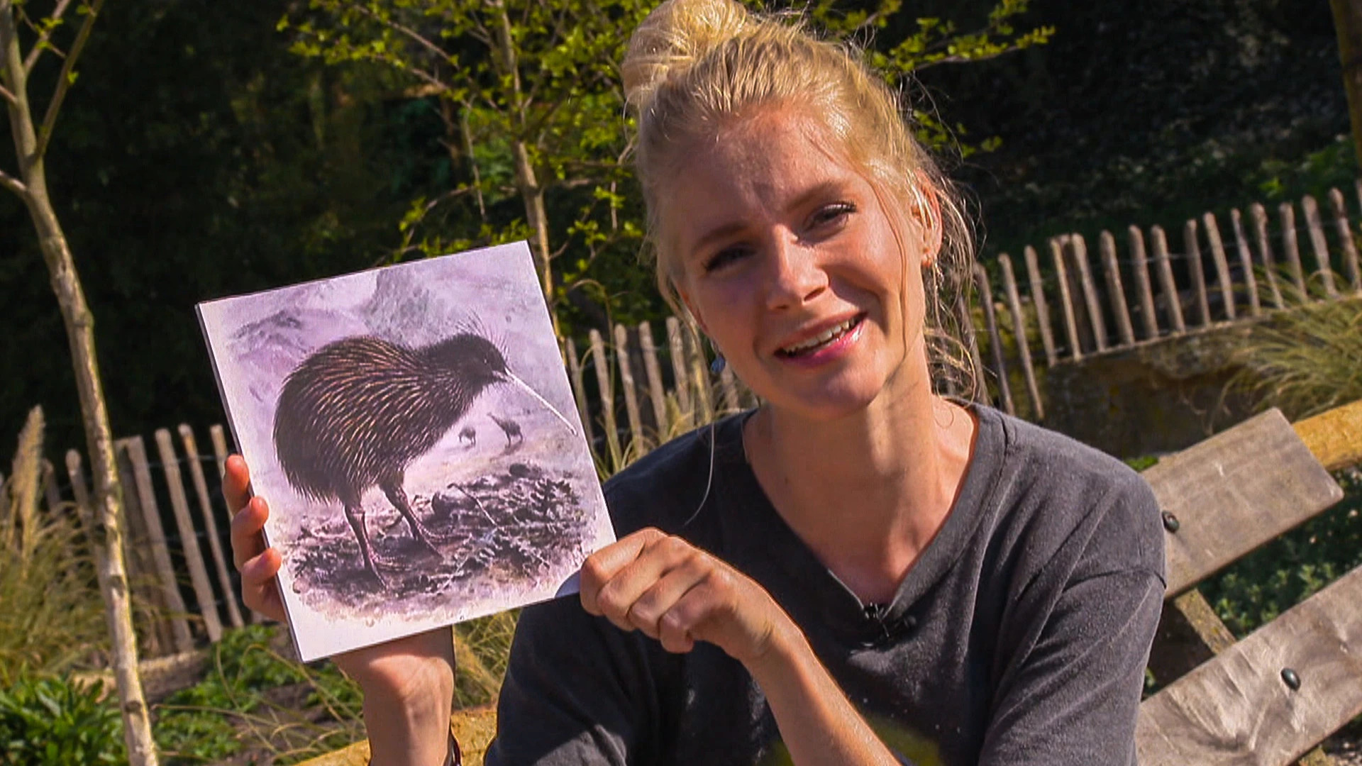 Het Klokhuis | Kiwi