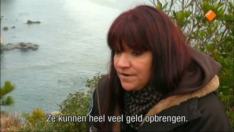 Het NOS Jeugdjournaal | NOS Jeugdjournaal