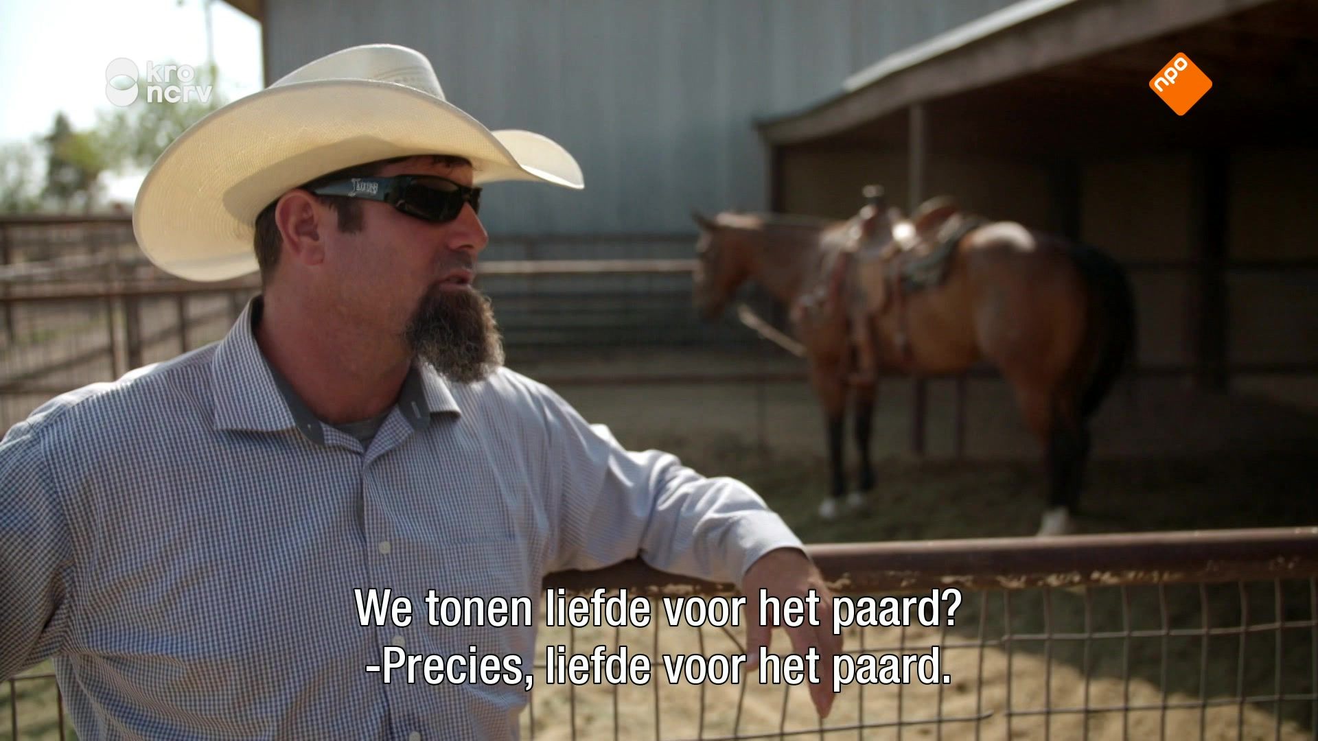 Klaas Kan Alles | Cowboy
