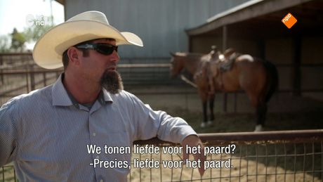 Klaas Kan Alles | Cowboy
