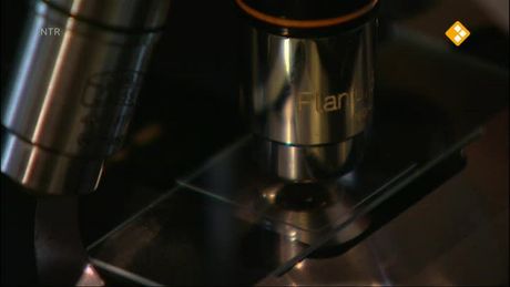 Het Klokhuis | Micro fotograaf