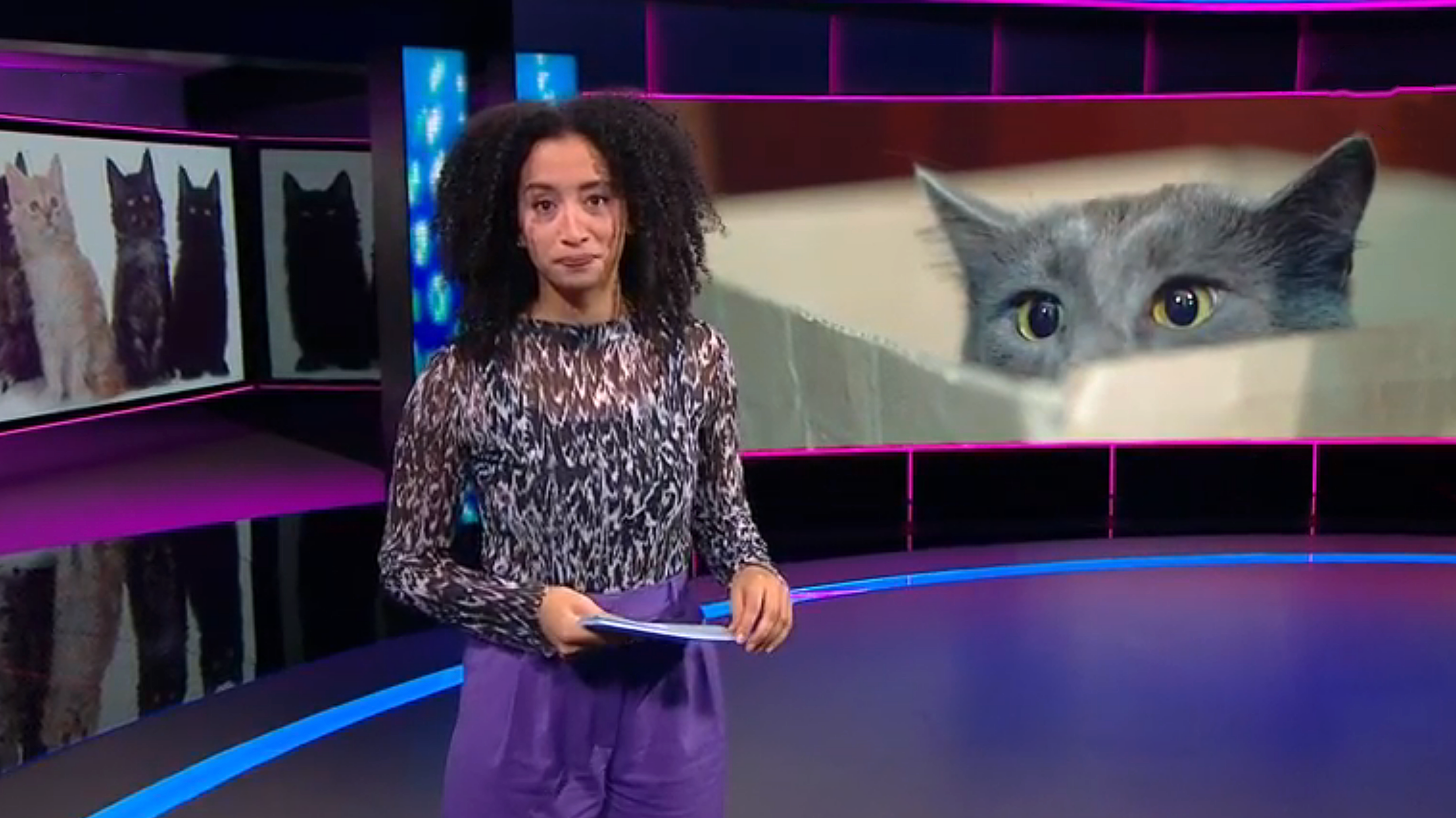 Het NOS Jeugdjournaal | NOS Jeugdjournaal
