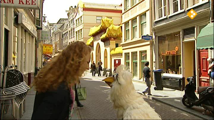 Huisje Boompje Beestje