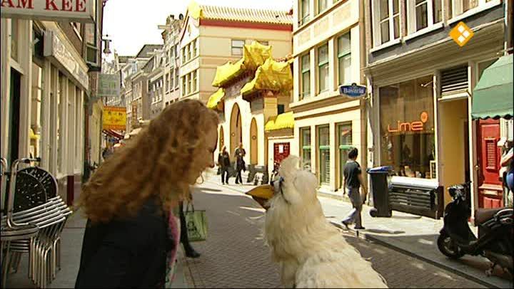 Huisje Boompje Beestje