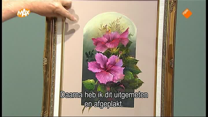 Hibiscus