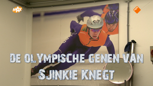 Sjinkie Knegt