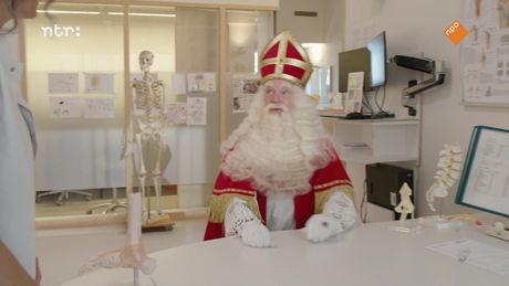 Het Sinterklaasjournaal