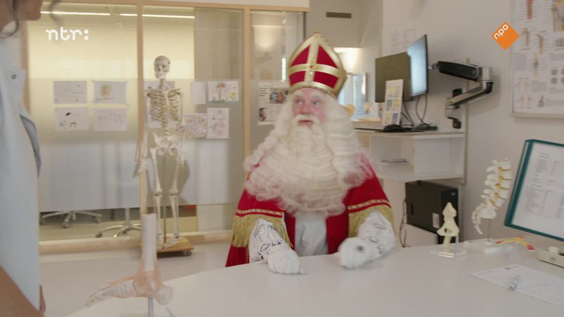 Het Sinterklaasjournaal