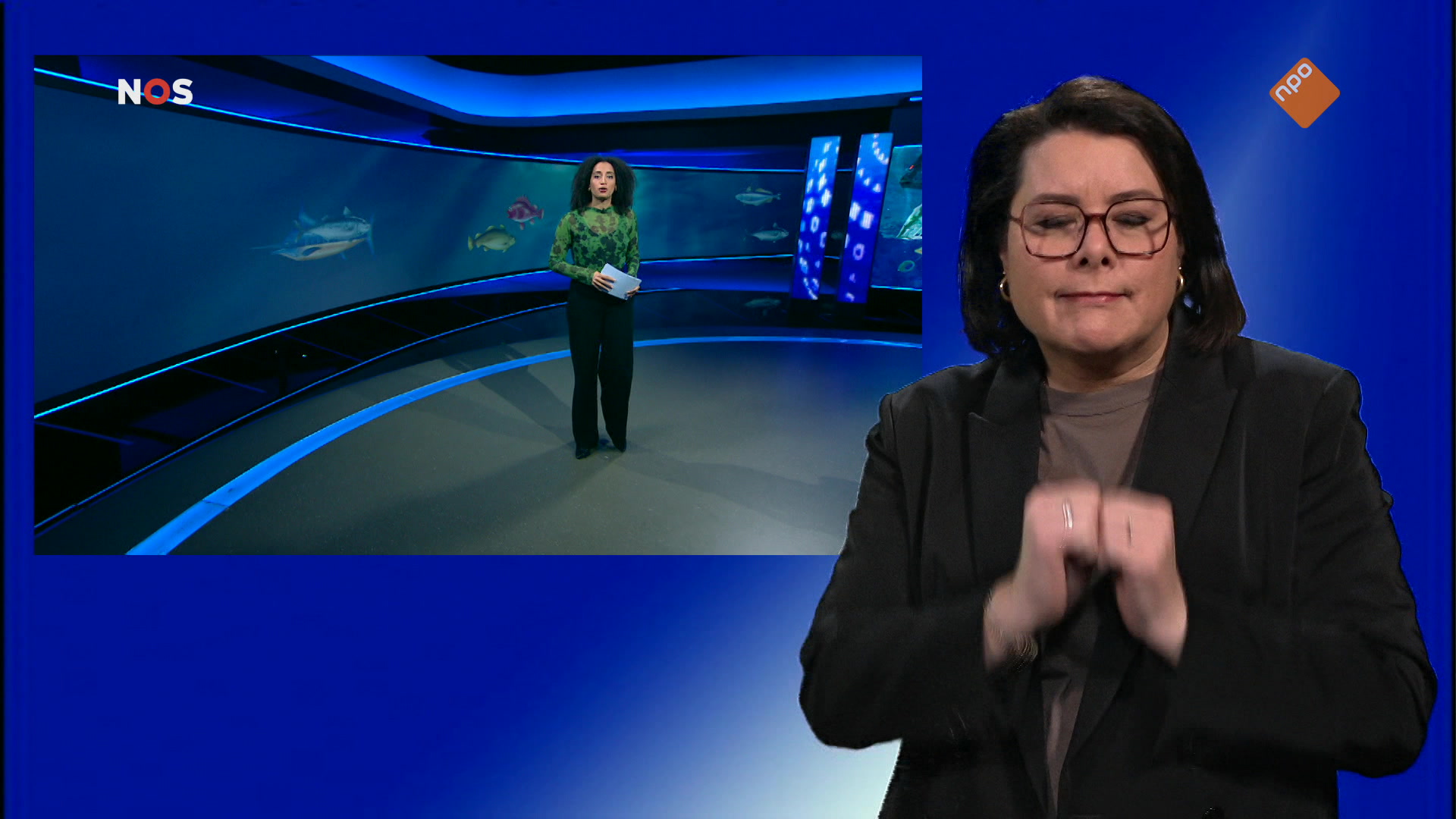 NOS Jeugdjournaal met gebarentaal