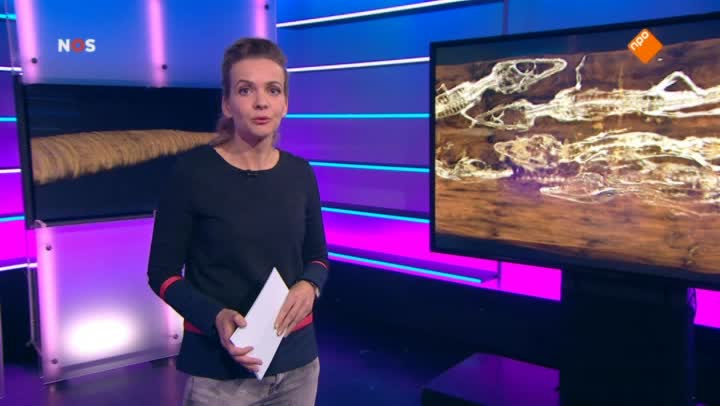 Het NOS Jeugdjournaal | NOS Jeugdjournaal