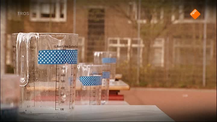 Zappsport | Zappsport WK compilatie