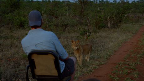 Freeks Wilde Wereld | Spektakel op safari