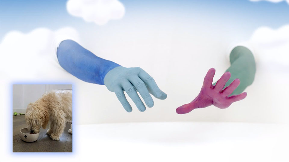 De Handjes