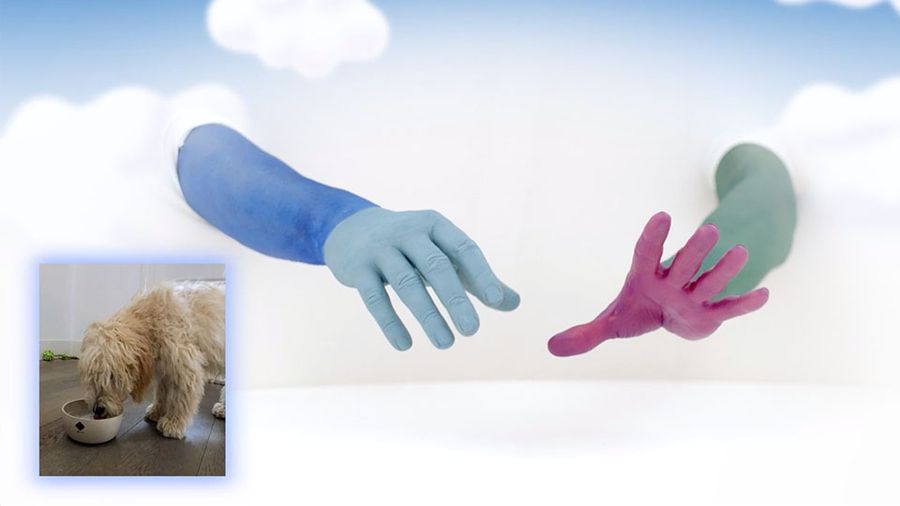 De Handjes