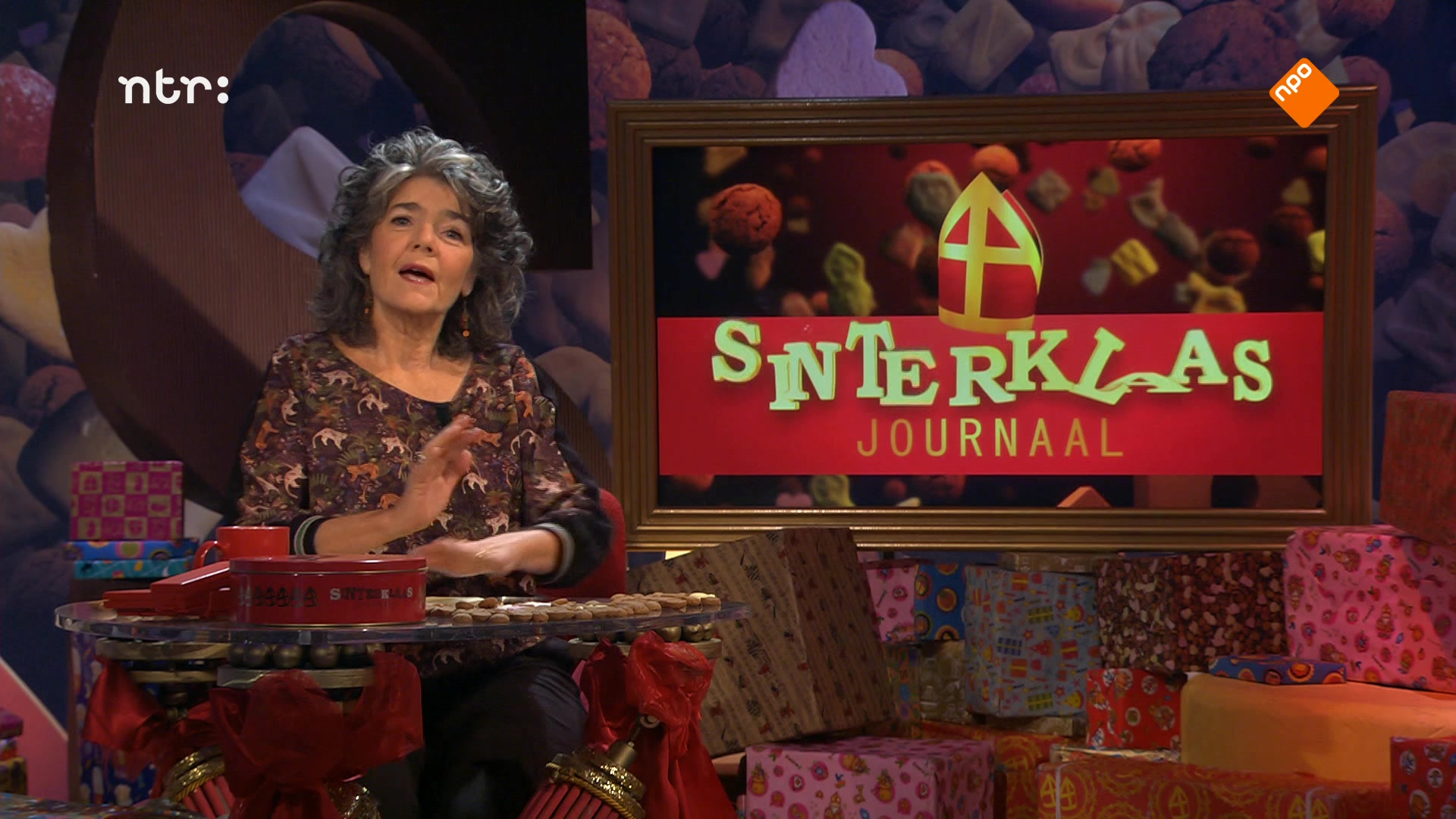 Het Sinterklaasjournaal