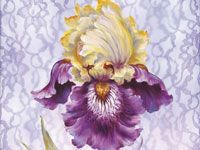 22. Lavendel en kant