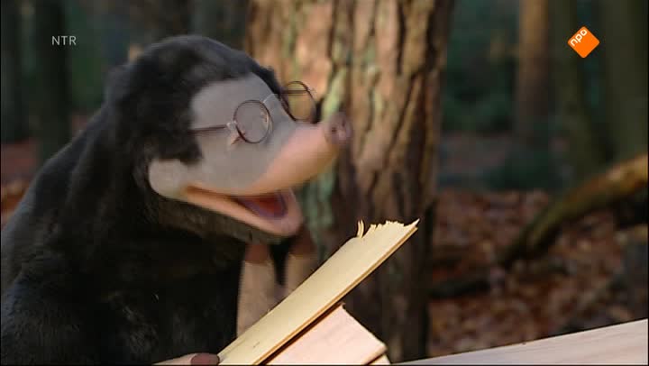 Koekeloere