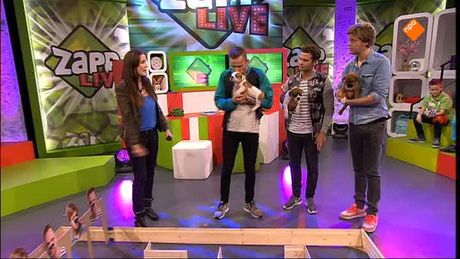 Zapplive | ZappLive